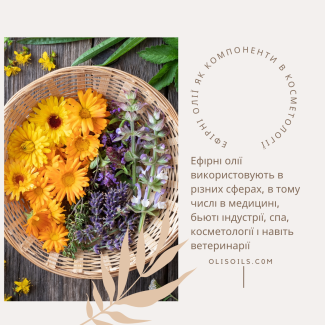 Ефірні олії: Основні Компоненти Медицини та Косметики